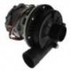 Bomba Lavado 230V 0.8HP Beta 246/250 COLGED