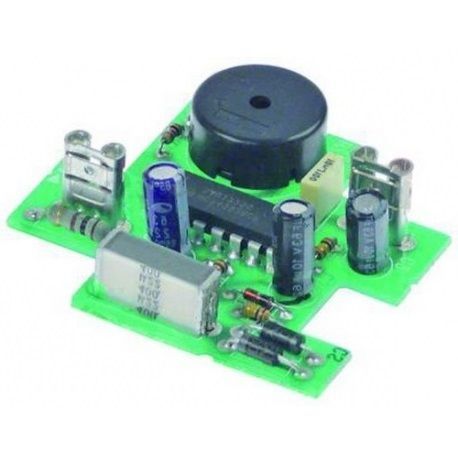 Placa electrónica horno FM