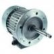 Motor Horno 1 Velocidad 250W 230/400V Trifas