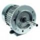 Motor Horno 2 Velocidades 29/243W 380/400V