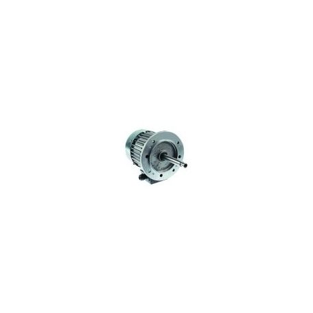 Motor Horno 2 Velocidades 29/243W 380/400V