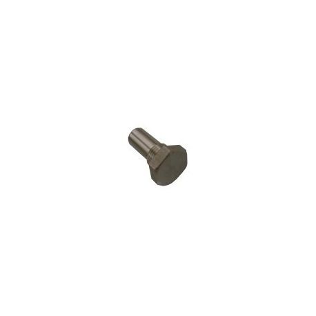 Tornillo Para Brida Inferior Puerta Horno