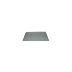 Cristal Puerta Interior 491x442x4mm Tfg