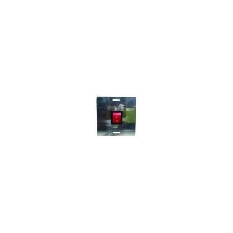 INTERRUPTOR(ANTIGUO) 230V Asador Pollos
