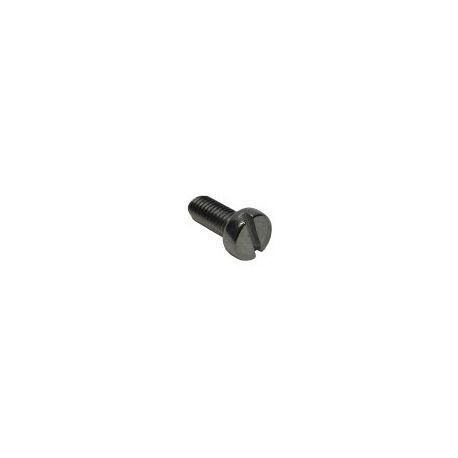 Tornillo M5x12 DIN-84 Inox