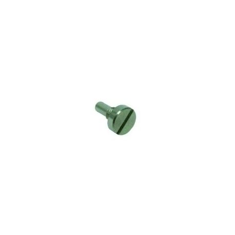 Tornillo Eje Puerta