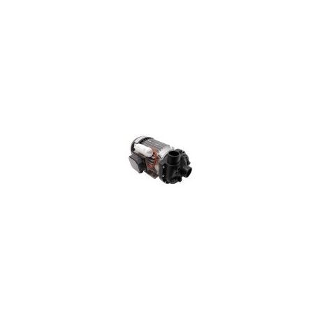 Bomba Lavado 230V 1HP GS-9