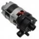 Bomba Lavado 230V 42E