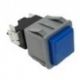 Interruptor Azul 28x28mm GASTRO-12S