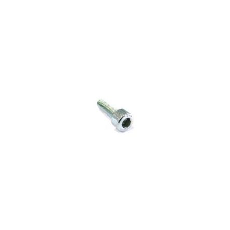 Tornillo M6x20 DIN-912 Zn
