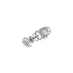 Bomba Lavado 230V 1.5HP Koral 800 KRUPPS