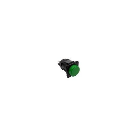 Interruptor Verde 28x28mm 230V Bipolar