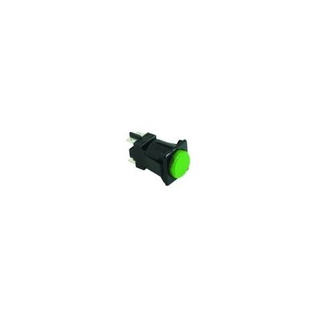 Pulsador Bipolar 16A 230V Verde GS4