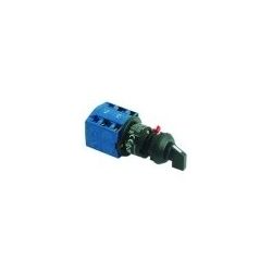 Interruptor Lavado 230V FV25G/FR30G