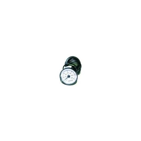 Termometro 0/120ºC Lavaperolas LU130