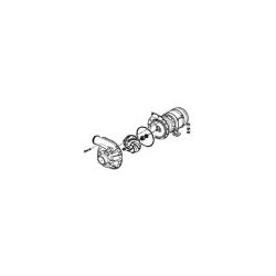 Bomba Lavado 230V 1.2HP ED-650 E