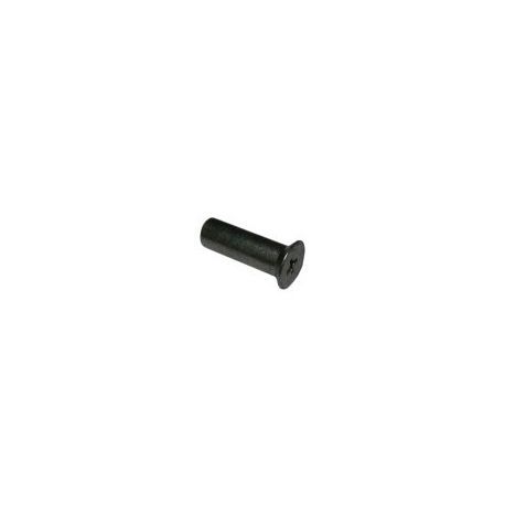 Tornillo Fijación Asa Puerta C98