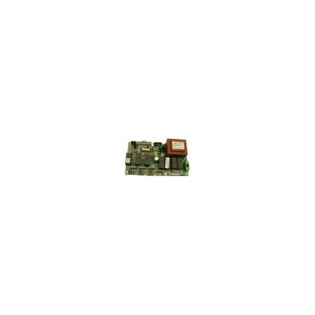 Placa Electronica Madre Electron