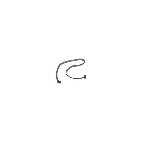 Cable Conexion Centralita 10 Pins 500mm C6E