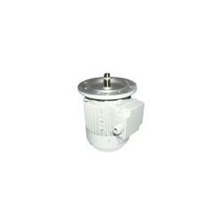 Bomba Arrastre Cinta 180W 230/400V 9/12