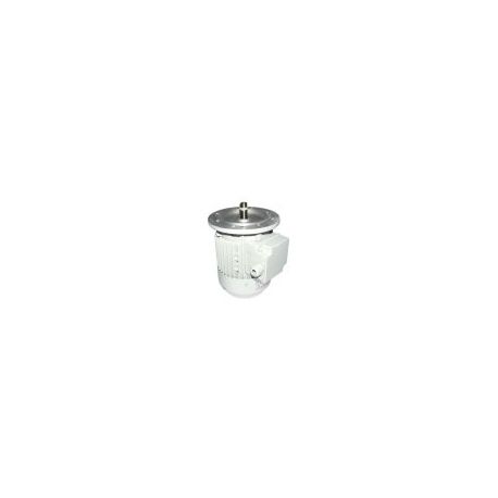 Bomba Arrastre Cinta 180W 230/400V 9/12