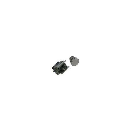 Piloto Luminoso Completo 24V AC/DC MA/MC