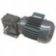 Motor Reductor Tren Lavado