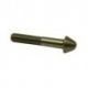 Tornillo Puerta M5x29 GS-10