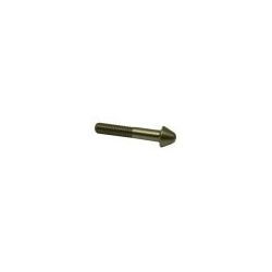Tornillo Puerta M5x29 GS-10