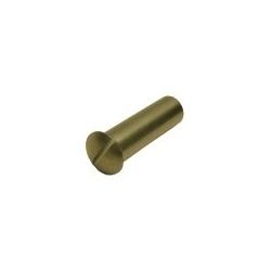 Perno Cierre Puerta Ø5x22mm CF50