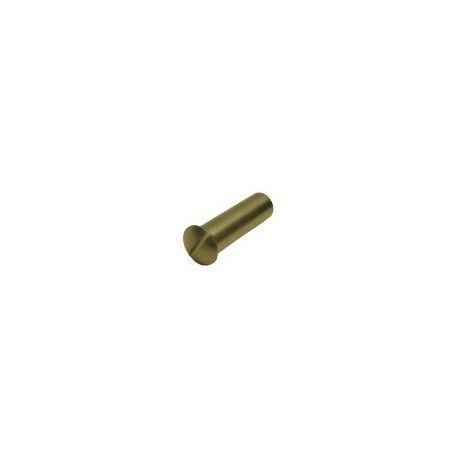 Perno Cierre Puerta Ø5x22mm CF50