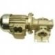 Motor + Reductor Arrastre 2 VEL. Tren Lavado
