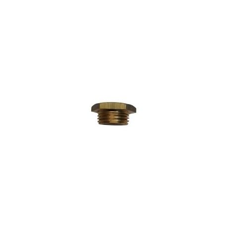 Tapón 1/2" Para Brazo