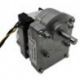 Motor Tostador Arrastre 230V 50Hz 6rpm