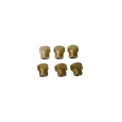 Kit Inyectores Glp PG-100