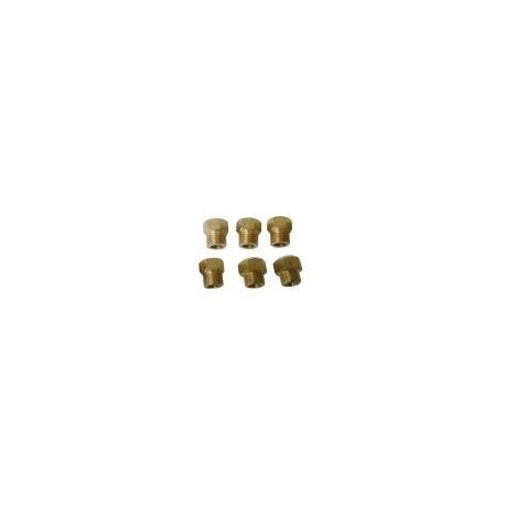 Kit Inyectores Glp PG-100