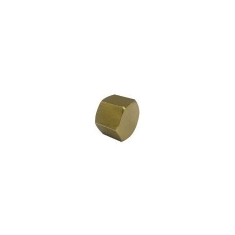 Racor Tapon 1/2 Hembra