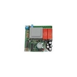 Placa Electronica 100/B