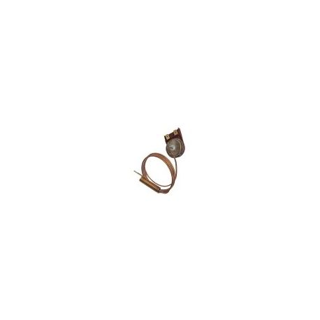 Termostato Seguridad Ranco LM7 P5098